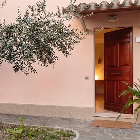 Casa Sgarzin Bed and Breakfast Cuccurano Exteriör bild